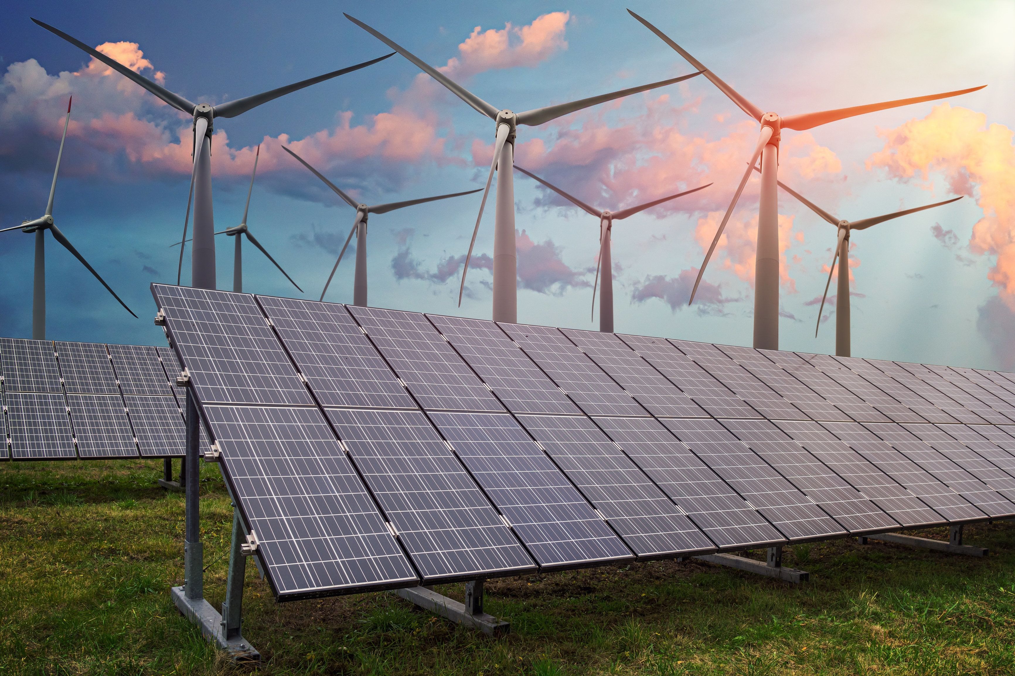 Wind turbines behind solar panels